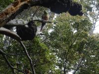 Wanderung im Feuerland-Nationalpark