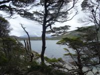 Wanderung im Feuerland-Nationalpark