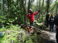 Wanderung im Feuerland-Nationalpark