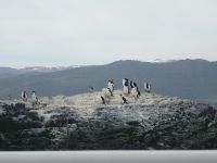 Schifffahrt auf dem Beagle-Kanal