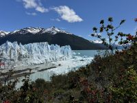Perito Moreno