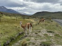 Torres del Paine 