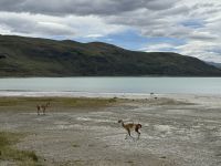 Torres del Paine 