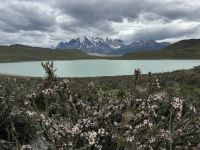 Torres del Paine 