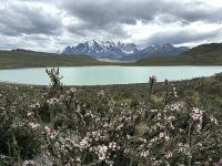 Torres del Paine 