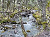 Wanderung Mirador del  Glaciar Huemul