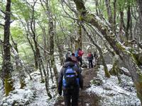 Wanderung Mirador del  Glaciar Huemul
