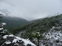 Wanderung Mirador del  Glaciar Huemul