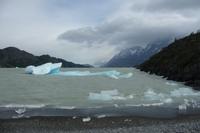 Lago Grey mit Gletschereis