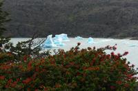Wanderung zum Mirador Lago Grey