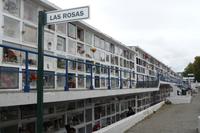 Punta Arenas Friedhof