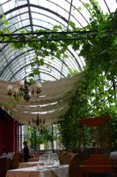 Wintergarten im Jose Nogueira