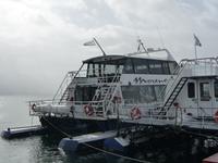 Katamaranausflug Beagle Kanal