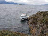 Bootsfahrt und Wanderung am Beagle Kanal - Ushuaia - Feuerland (14)