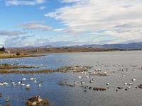 El Calafate (1)