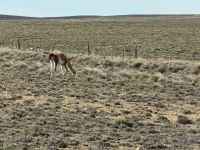 Fahrt nach Chile 