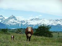 Fahrt zur Estancia