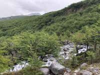 Huemul 