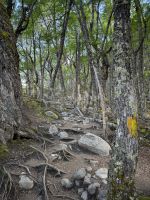Huemul 