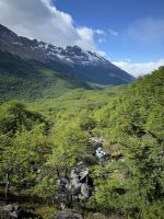 Huemul 