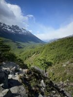 Huemul 