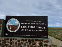 Isla Magdalena 