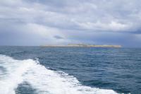 Isla Magdalena