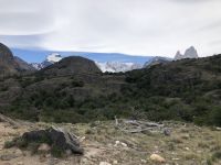 Laguna Torre 