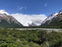Laguna Torre 