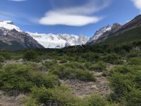 Laguna Torre 