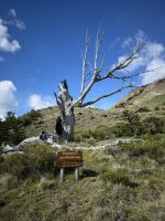 Laguna Torre 