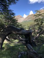 Laguna de los Tres 
