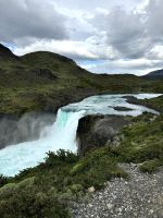 Los cuernos 