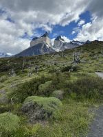 Los cuernos 