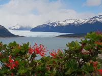 Perito Moreno Gletscher bei El Calafate - Patagonien (2)