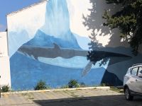 Punta Arenas 