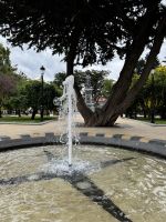 Punta Arenas 