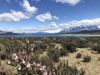 Torres del Paine 