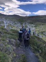Torres del Paine 