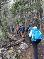 Ushuaia 