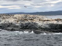 Ushuaia 