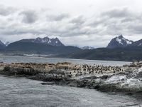 Ushuaia 