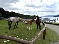 Ushuaia 