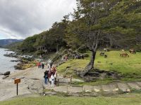 Ushuaia 