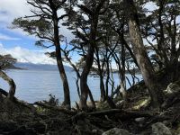 Ushuaia 