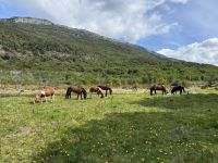 Ushuaia 