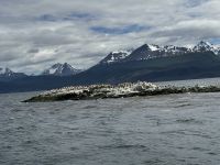 Ushuaia 