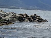 Ushuaia 
