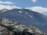 Ushuaia 