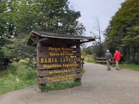 Wanderung am Beagle-Kanal im Feuerland-Nationalpark (11)